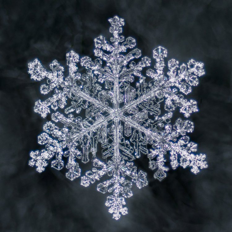 Snowflake.thumb.jpg.56854af2145969fdc39eb662d5f21e67.jpg